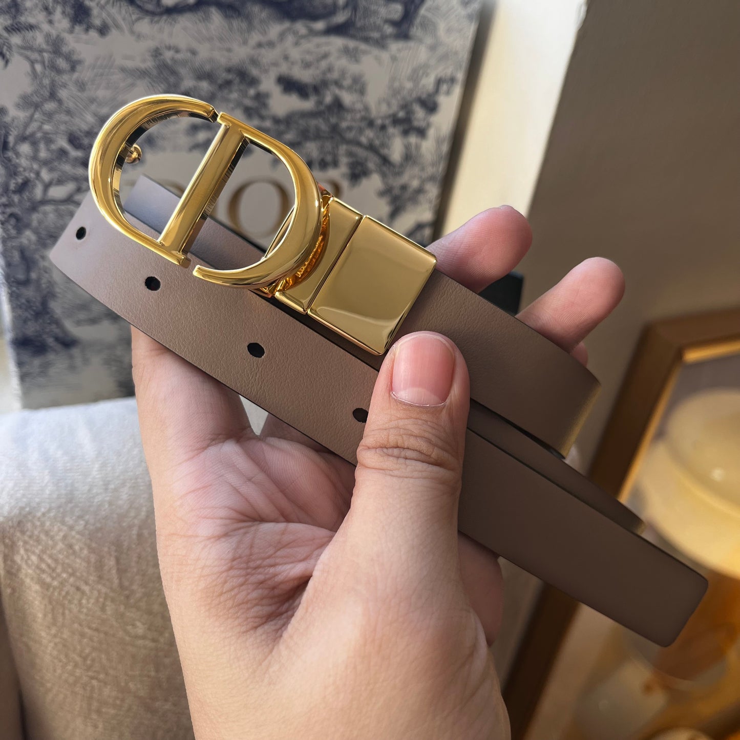 Christian Dior Reversible Belt (Taupe)