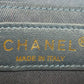 Chanel Camella Chain Crossbody