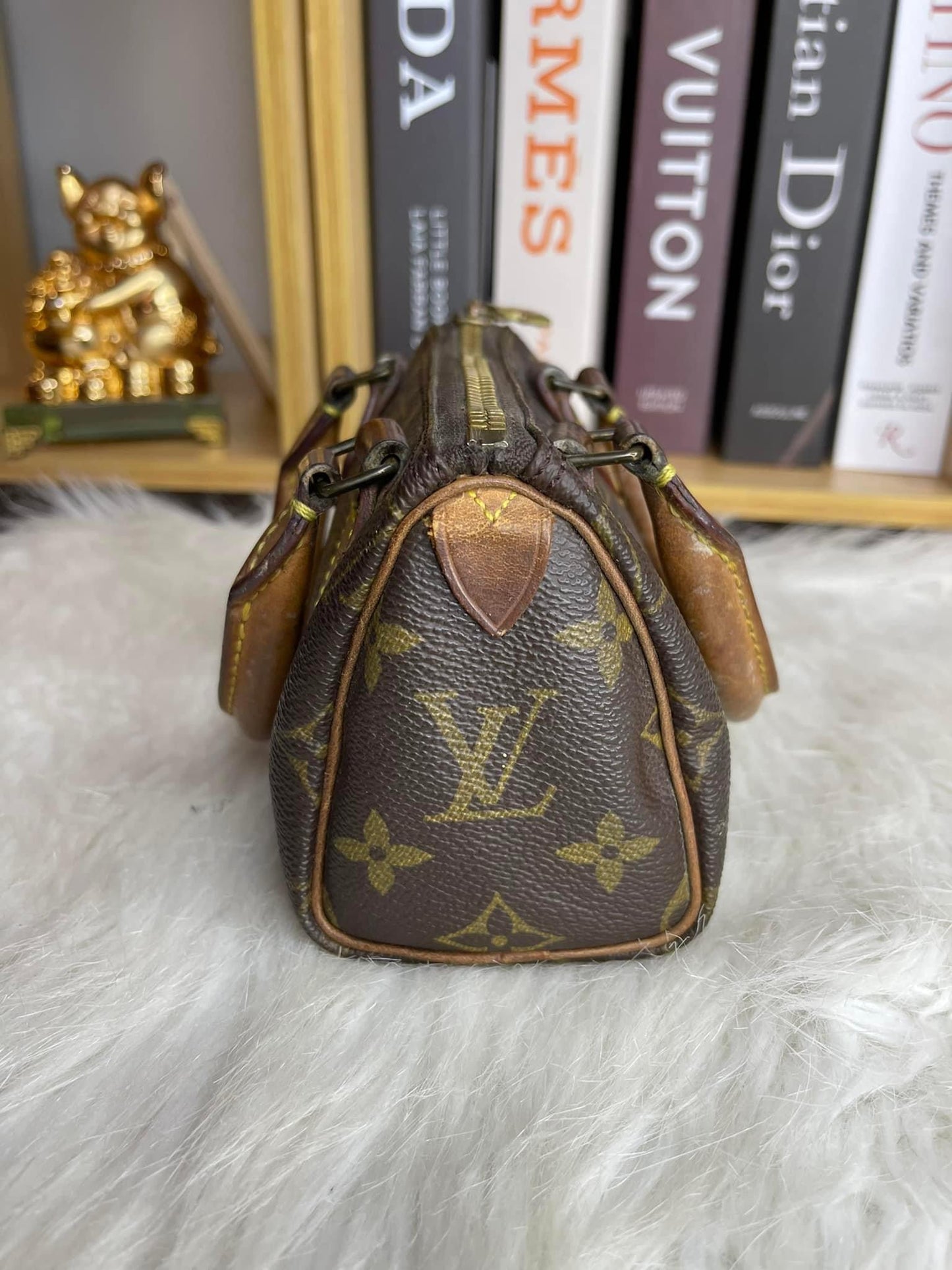 Louis Vuitton Speedy Nano