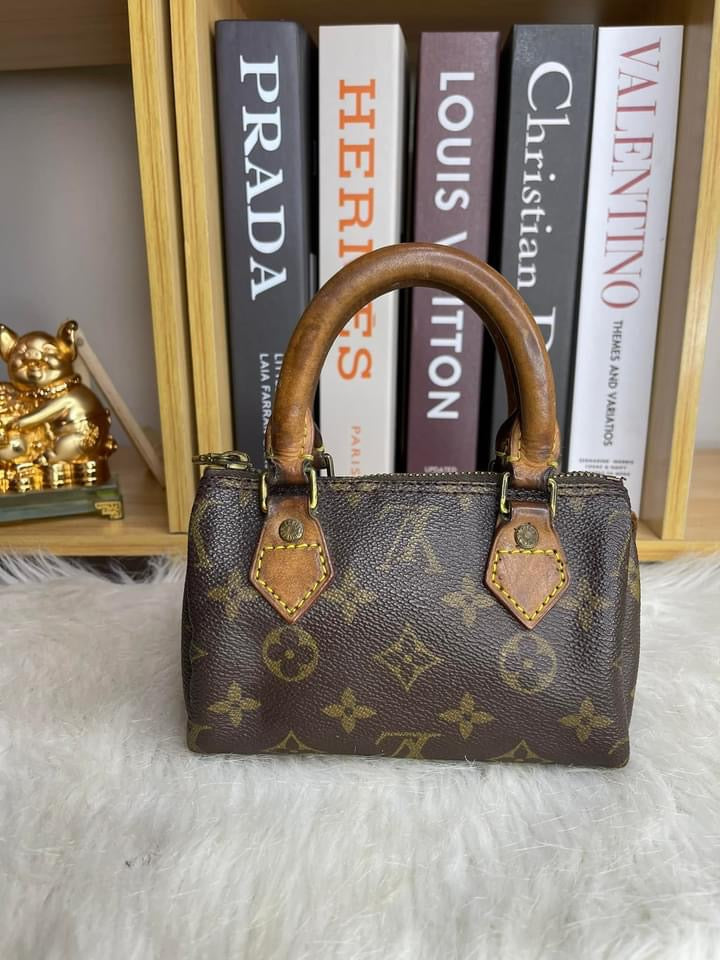 Louis Vuitton Speedy Nano