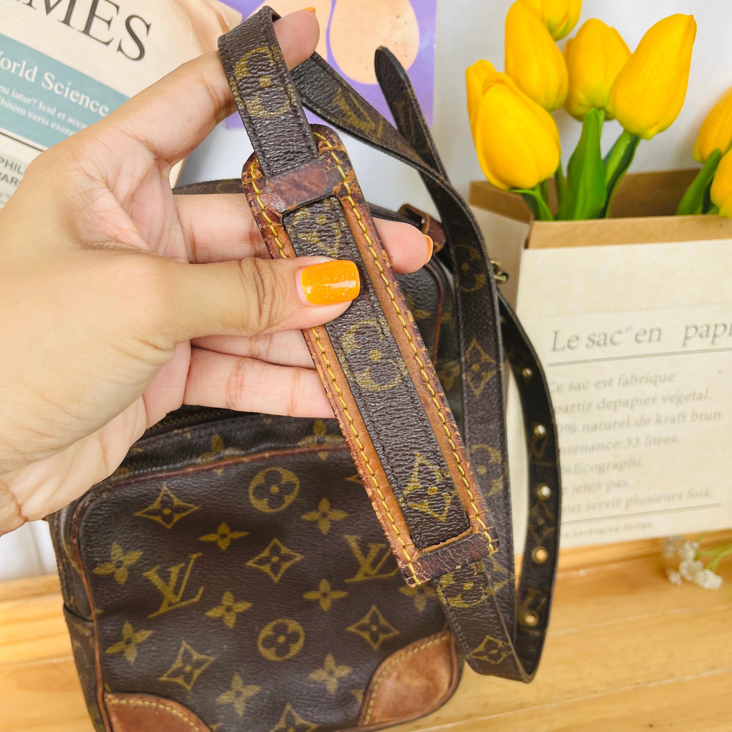 Lou!s Vuitton Danube Crossbody