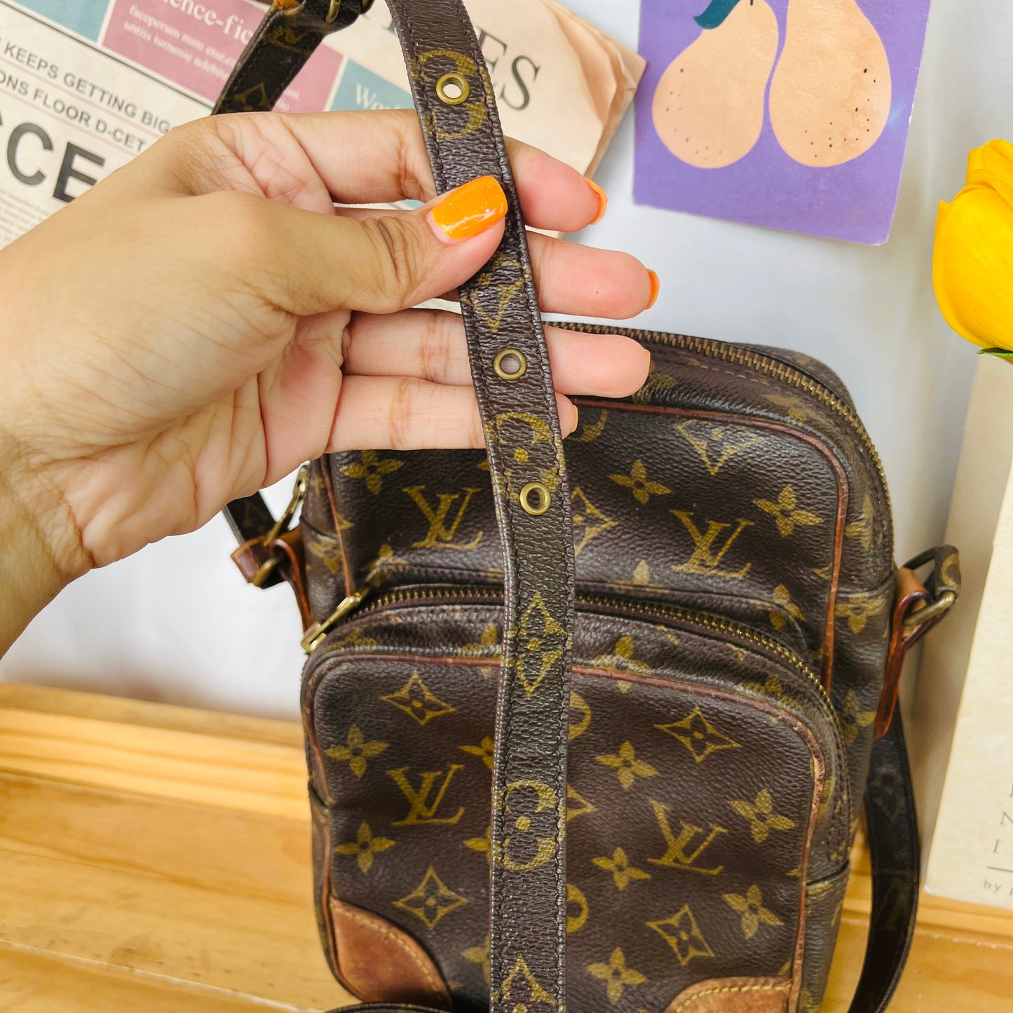 Lou!s Vuitton Danube Crossbody