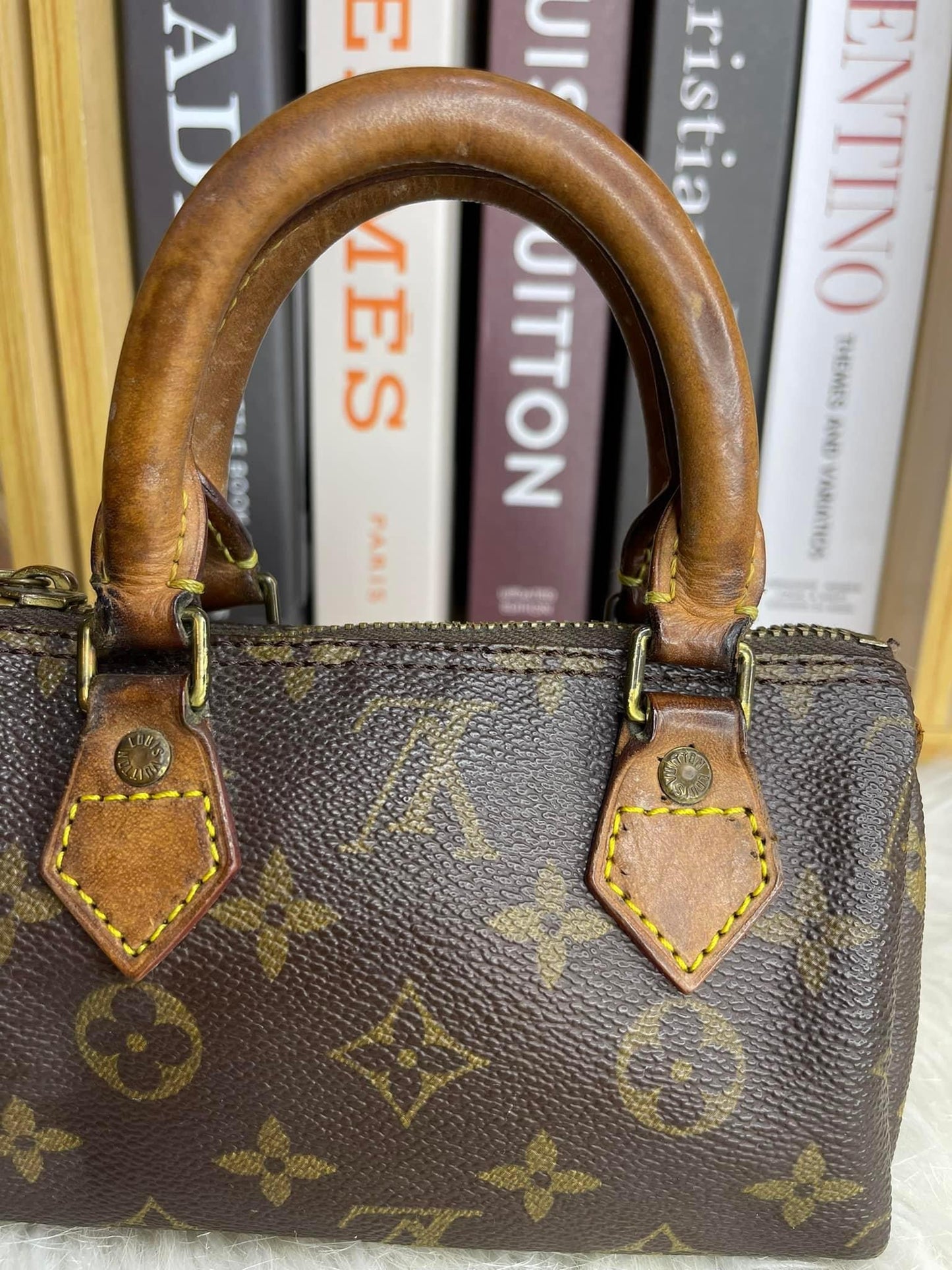 Louis Vuitton Speedy Nano