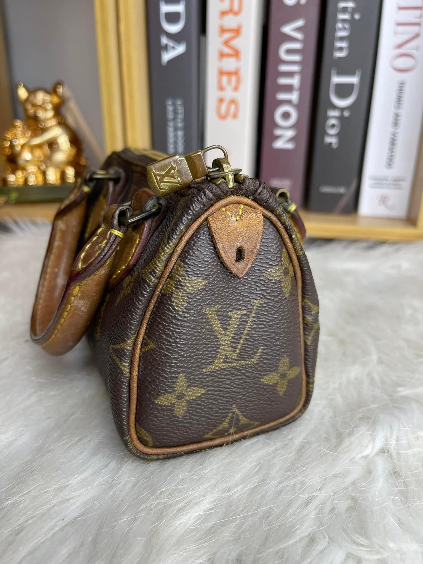 Louis Vuitton Speedy Nano